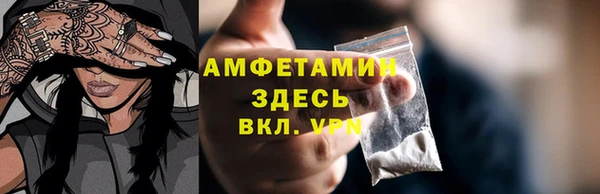 тгк Бородино