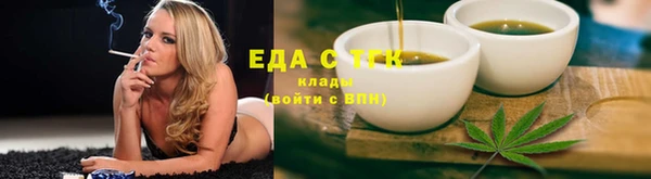 тгк Бородино