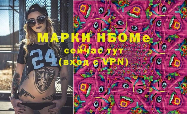 тгк Бородино