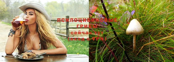 ешки Семилуки