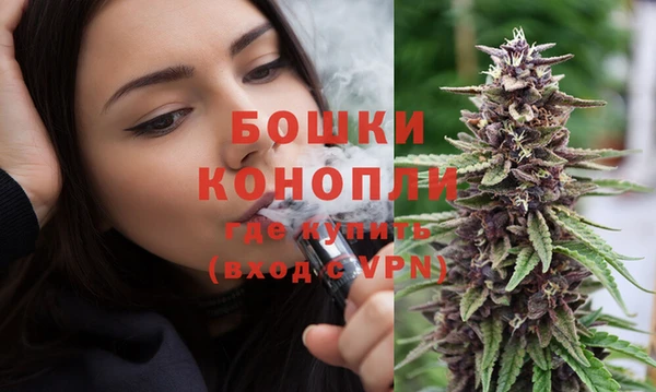 тгк Бородино