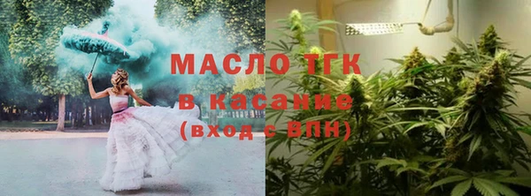 тгк Бородино