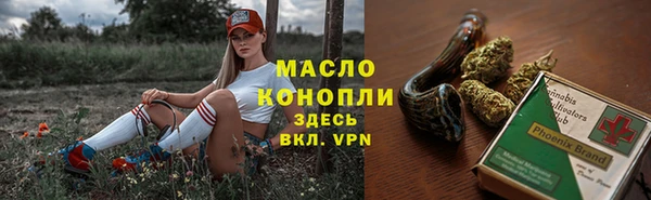 тгк Бородино
